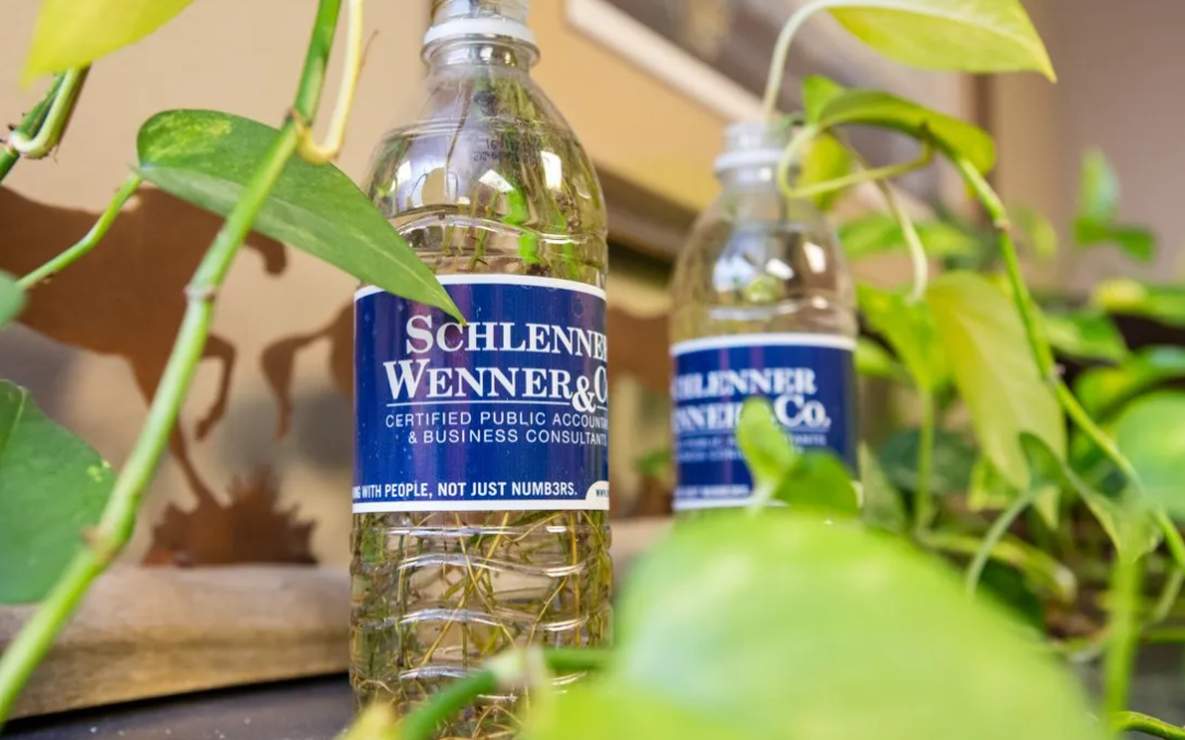 Changes resulting from the recently passed American Rescue Plan