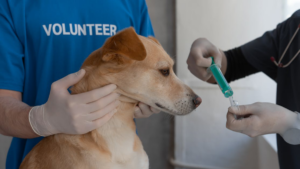 IRS proposes major changes for Donor-Advised Funds