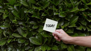 Tax Filing Season Opens Today for 2024 Returns